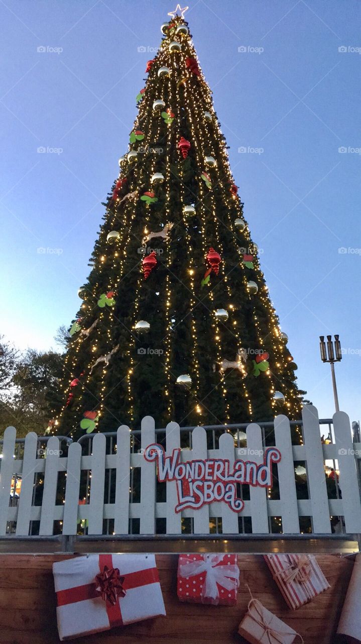 Christmas Wonderland Lisbon 