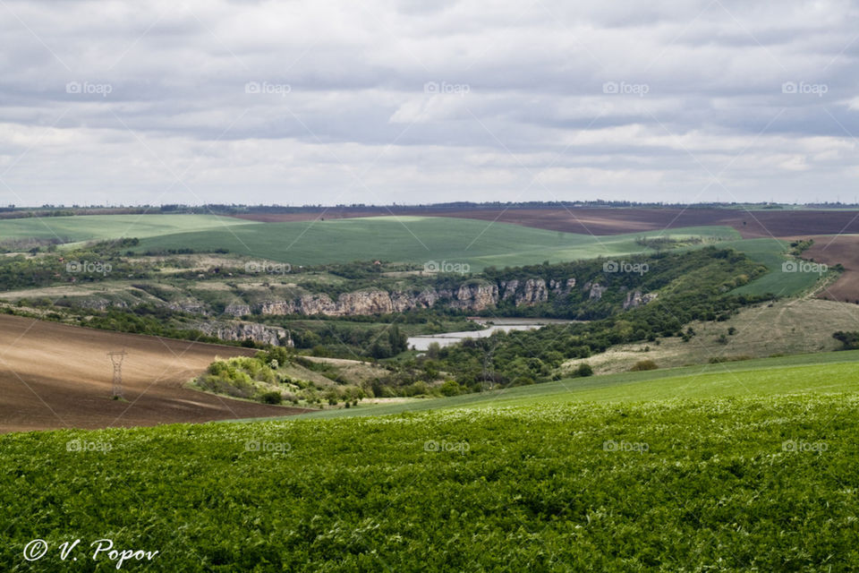 Spring fields