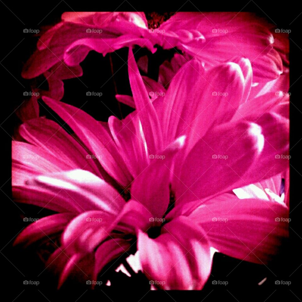 momma. summer bouquet