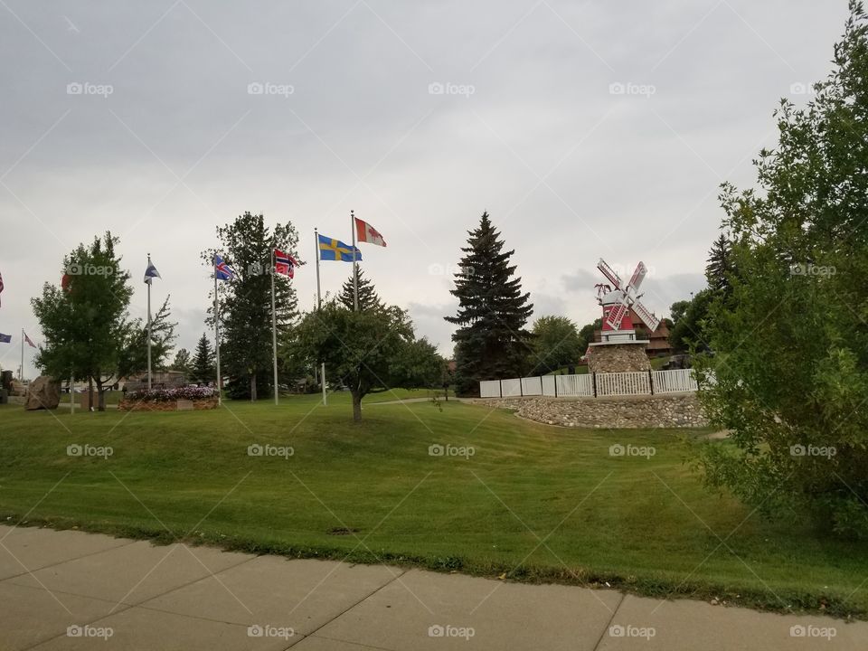 Flag, Tree, No Person, Landscape, Park