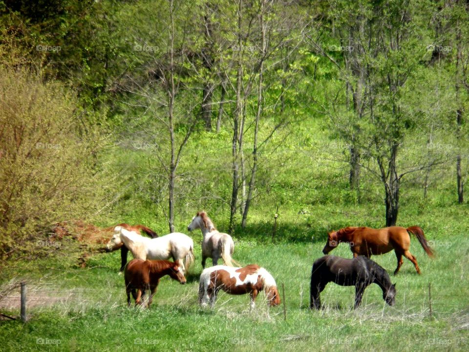 Driving the back roads