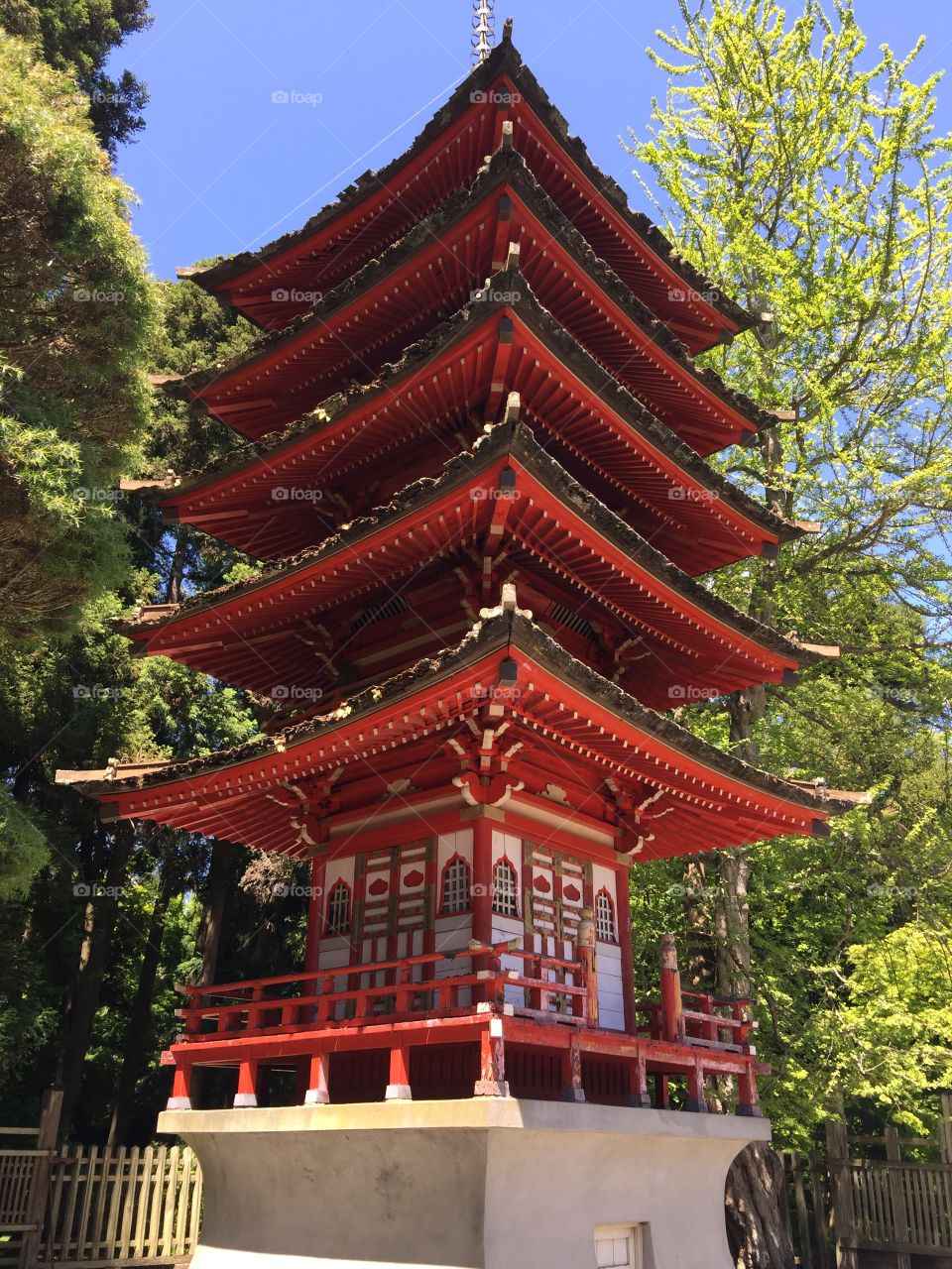 San Francisco Japanese Tea Garden 