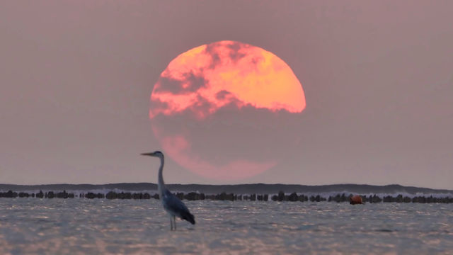 sun