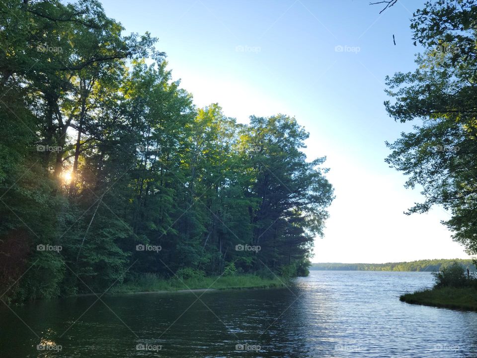 Cove in Hardy Dam Lake