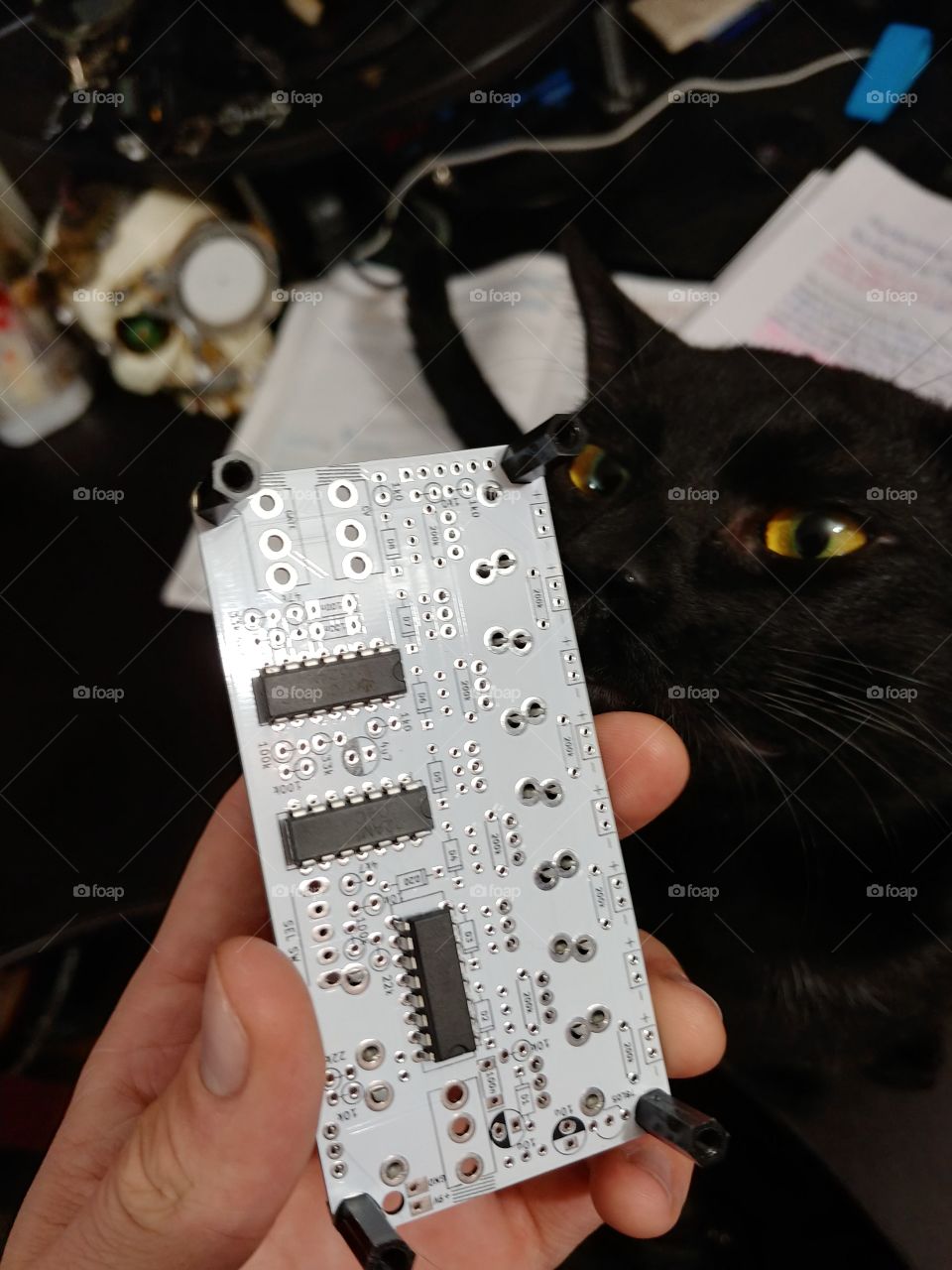 Behind the circuit veil, you will find a magical black cat!