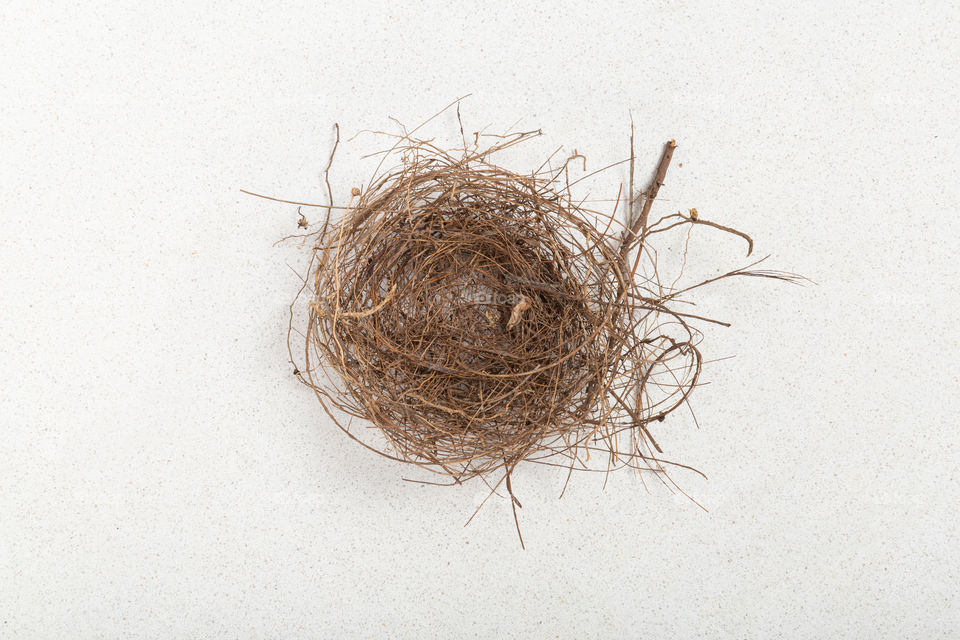 bird nest on white background, minimal