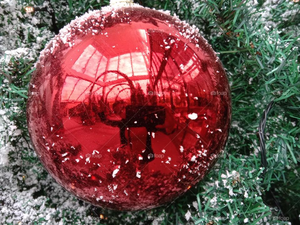 Winter is a season of recovery and preparation