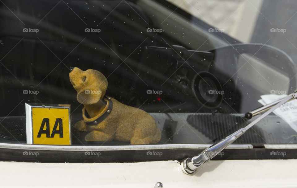 Dog decoration inside a car