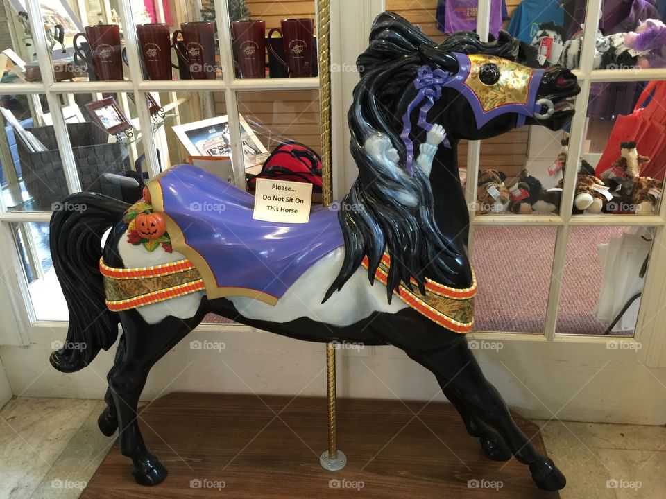 Black Carousel Horse. This horse is on display at the merry-go-round museum in Sandusky Ohio