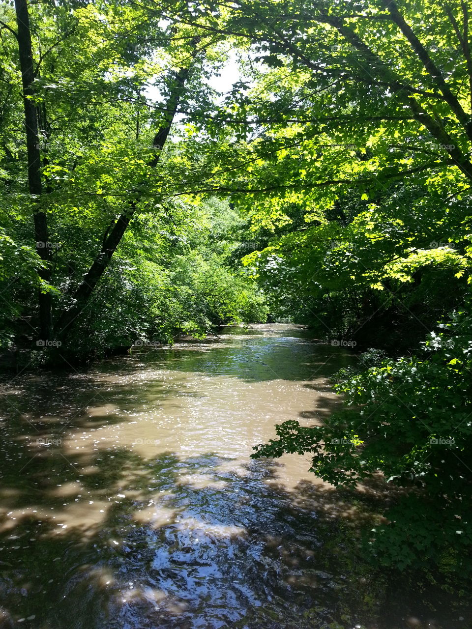 Minneopa Creek