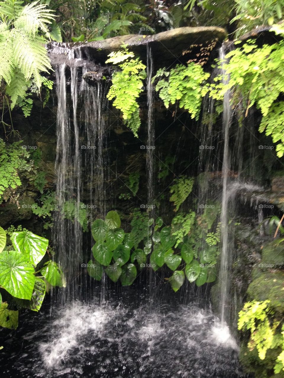 Scenic view of waterfall