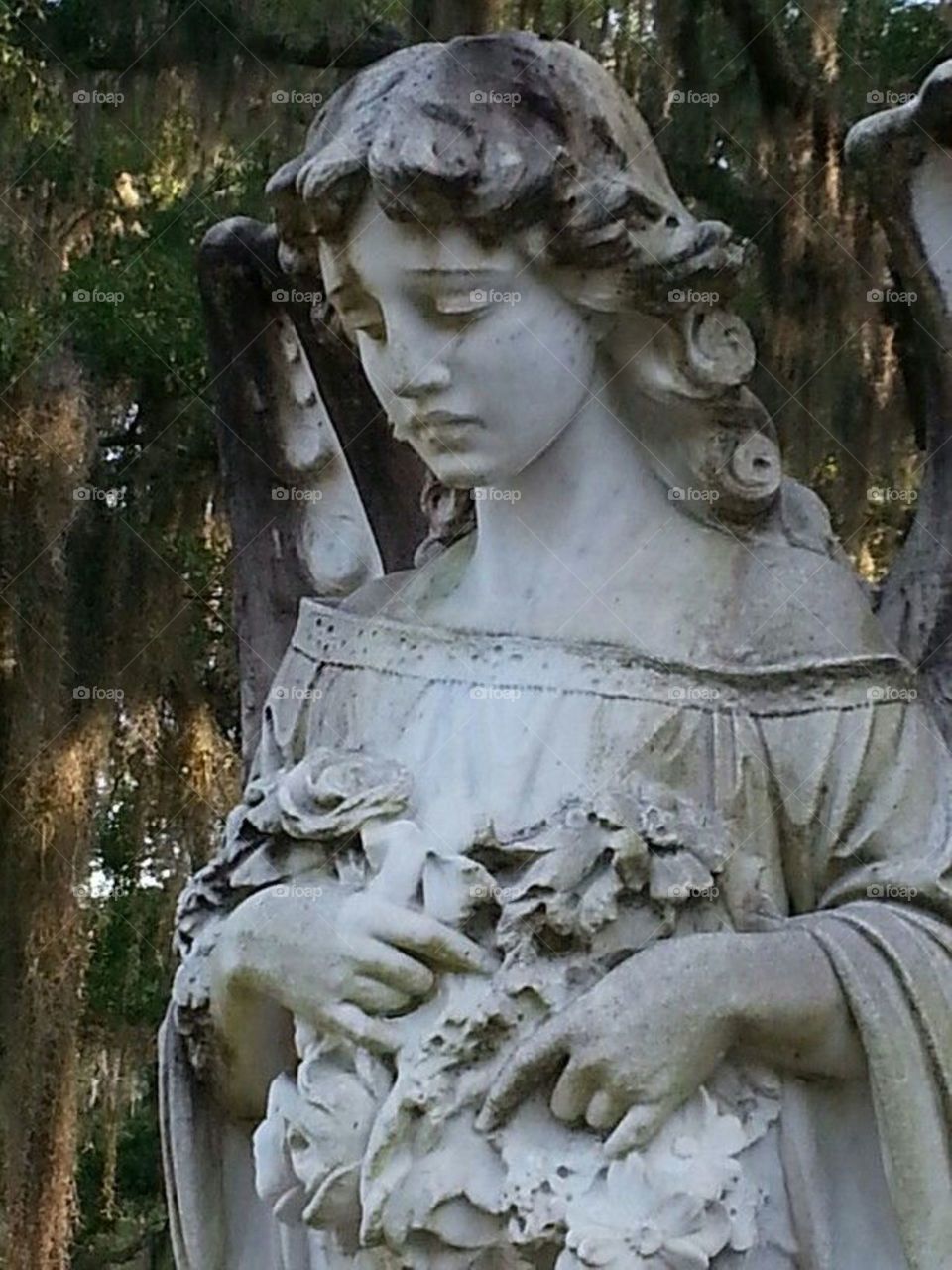 Bonaventure Cemetery . Savannah Georgia 