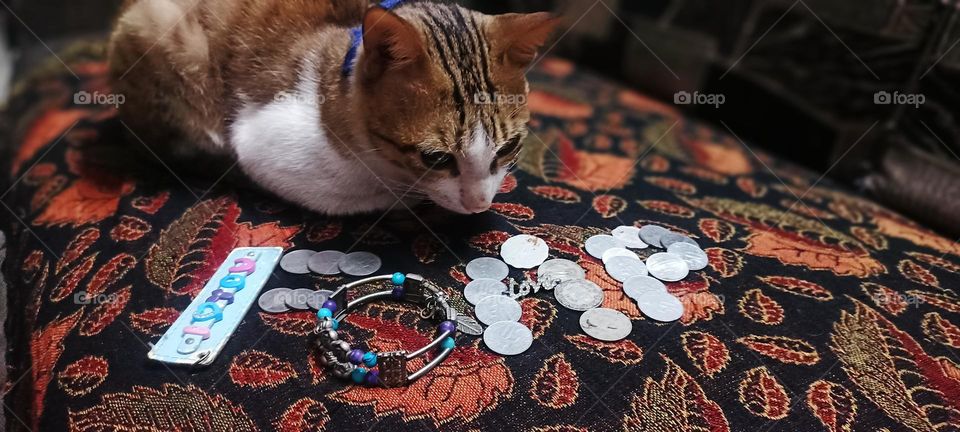 Try to be rainbow in some one cloud. don't look up just look the ground