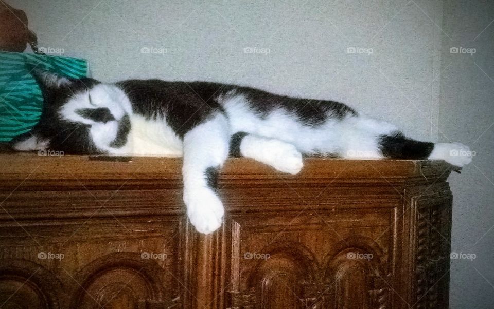 cat passed out sleeping on top of a cabinet