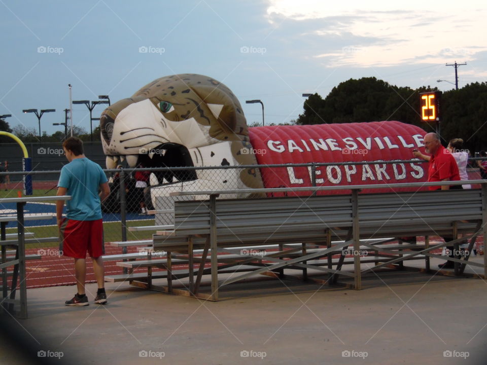 Gainesville leopards. This is a picture of the tunnel where the Gainesville leopards ran onto the football field