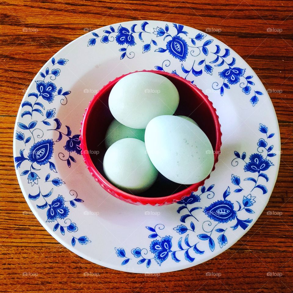Blue Cream Legbar Eggs