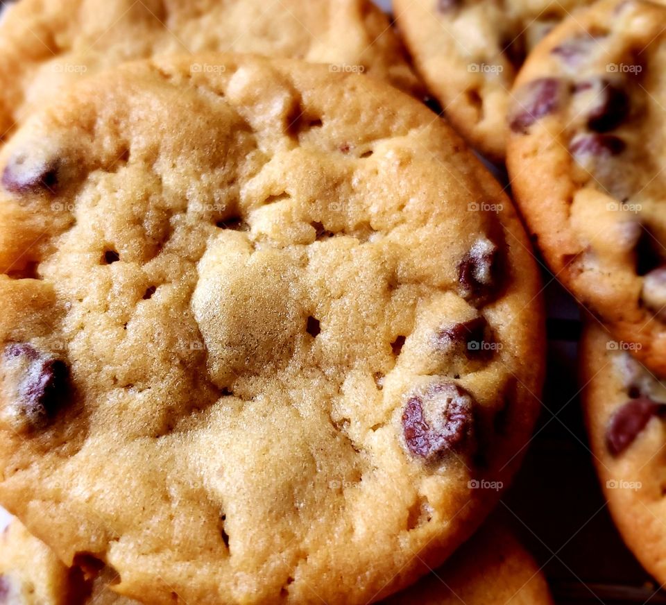 yummy chocolate chip cookies from the oven