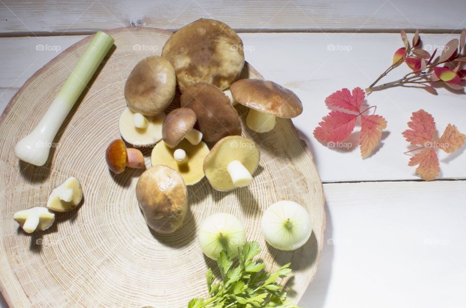 mushroom harvest