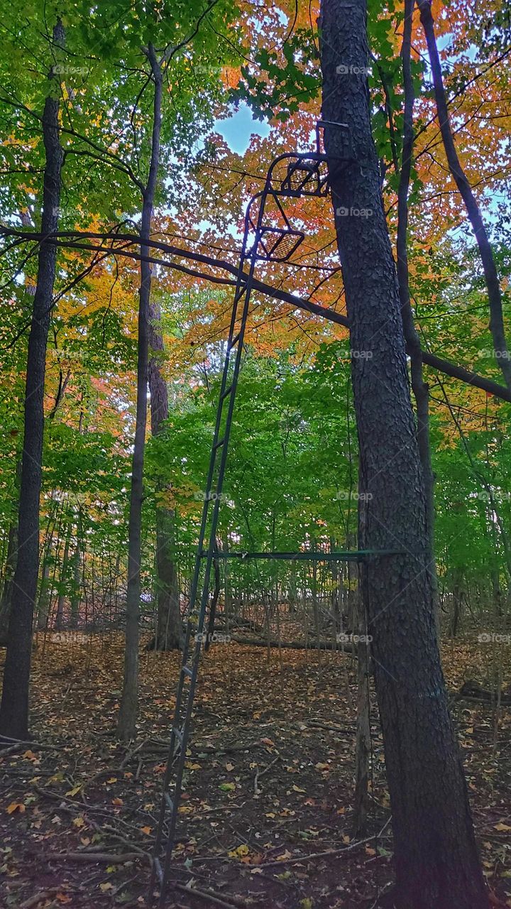 tree stand for hunter