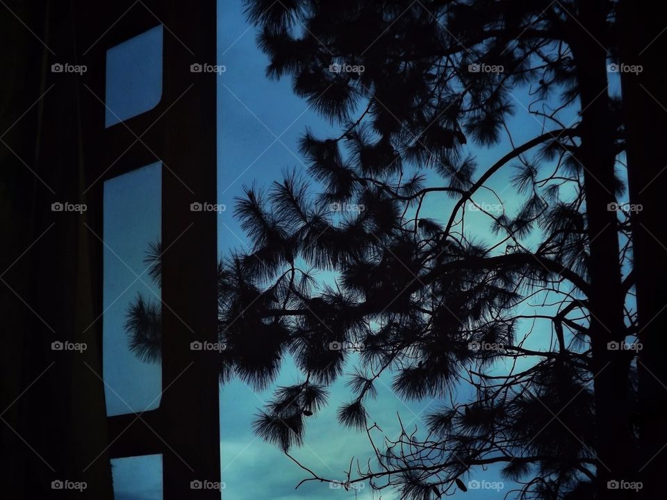 View from the window