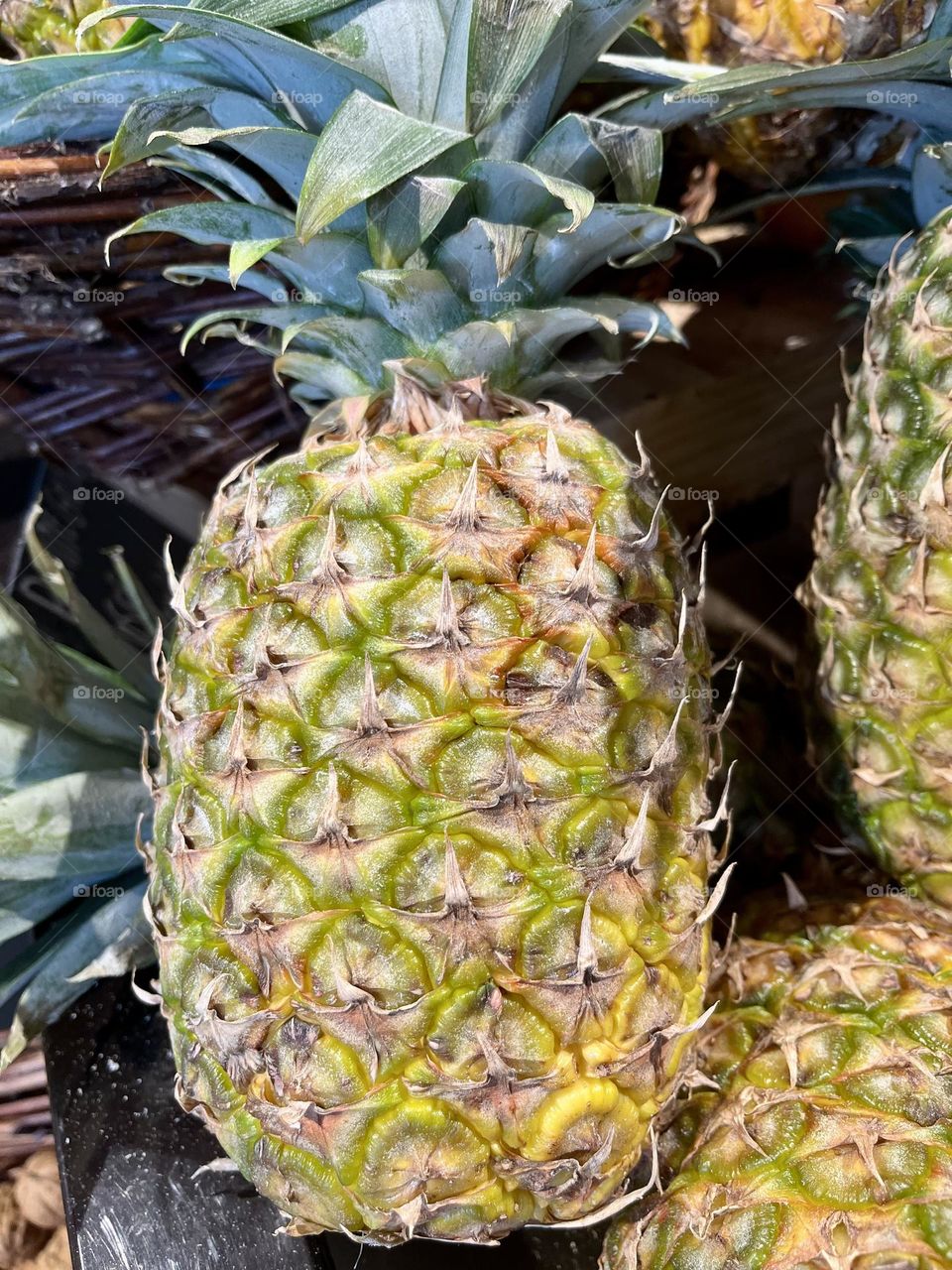 Close-up of pineapples
