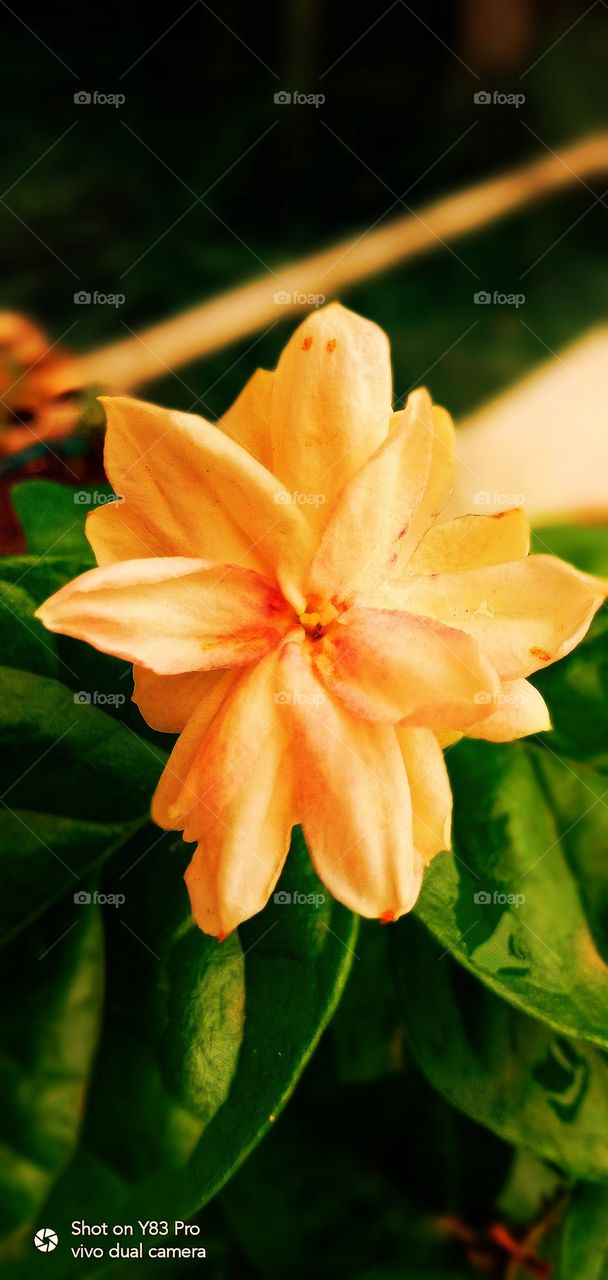 #foap #infoapartemen #foapjuly18 #foapaug18 #foapfeb18 #foapapril17 #foapers #foapjune18 #fotografoaprendiz #sfoapprentices #foaper #infoapartment #foapmission #foapmay18 #foapapr18 #foapit #infoaplikasipaytren #infoapple #foapom #foapjan19 #infoapp