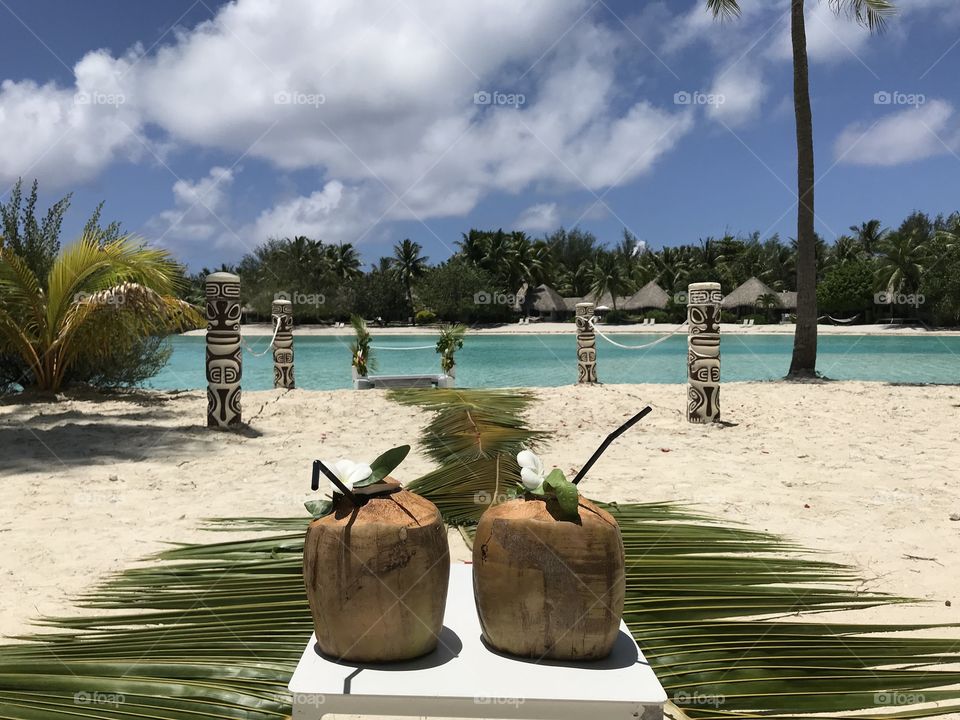 Coconut for two please 