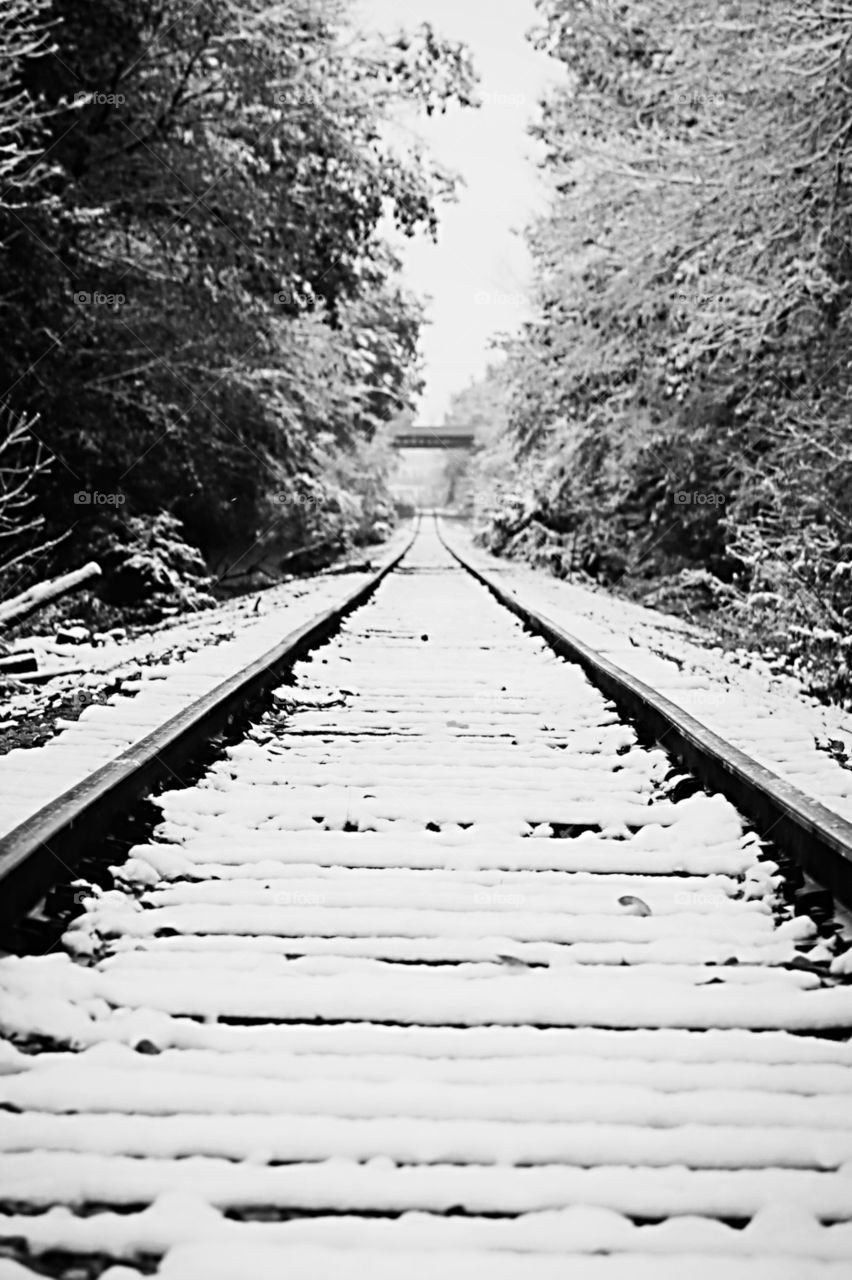 Train Tracks in Winter