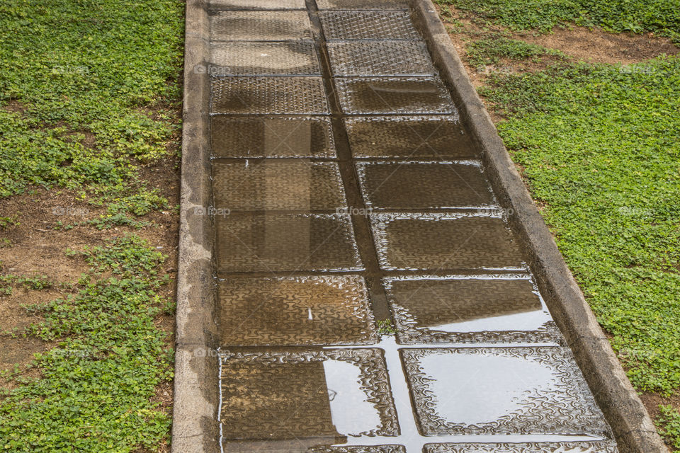 in the backyard after raining