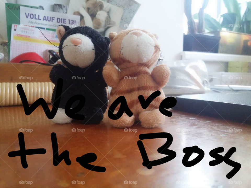 we are the Boss