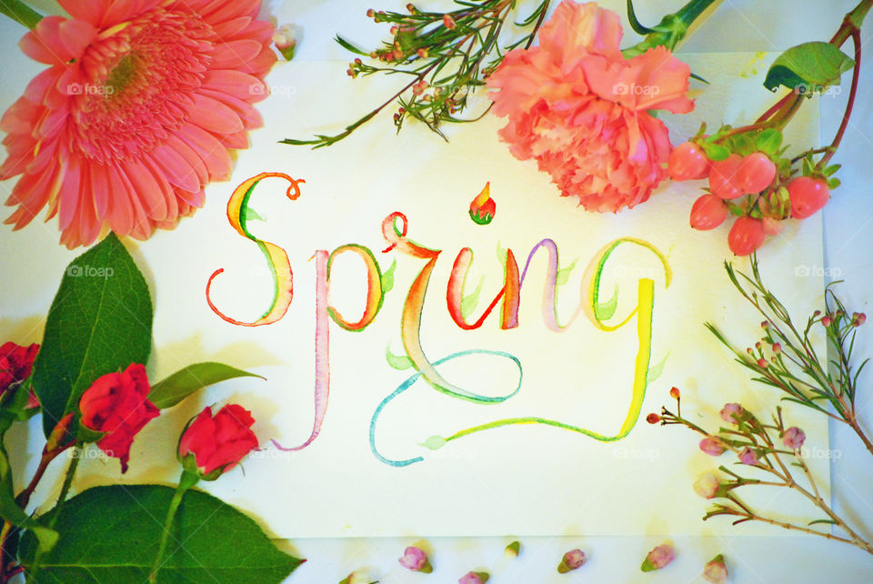 Spring, sign, flat lay, on white background, floral border, bloom, flowers, watercolor, lettering, bud
