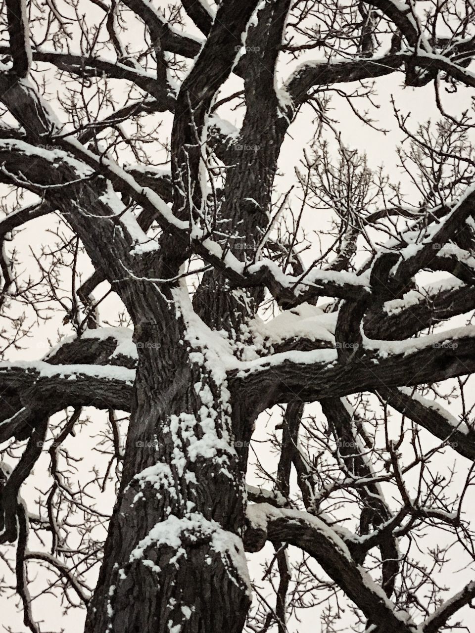 Wintertime is here, snow is falling and I can see my breath. Brrrrr!