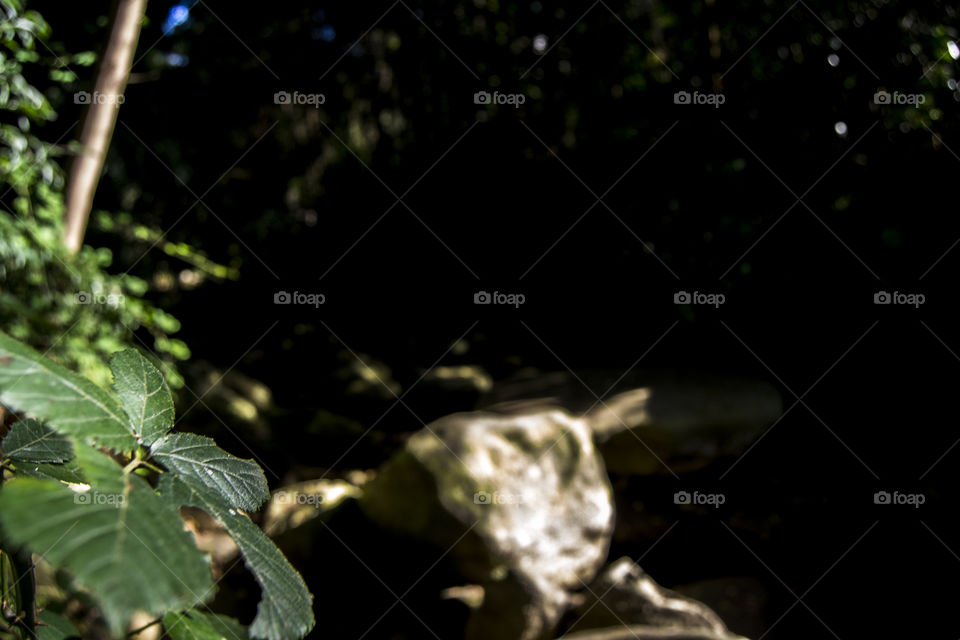 Walking through the mountains, found a river