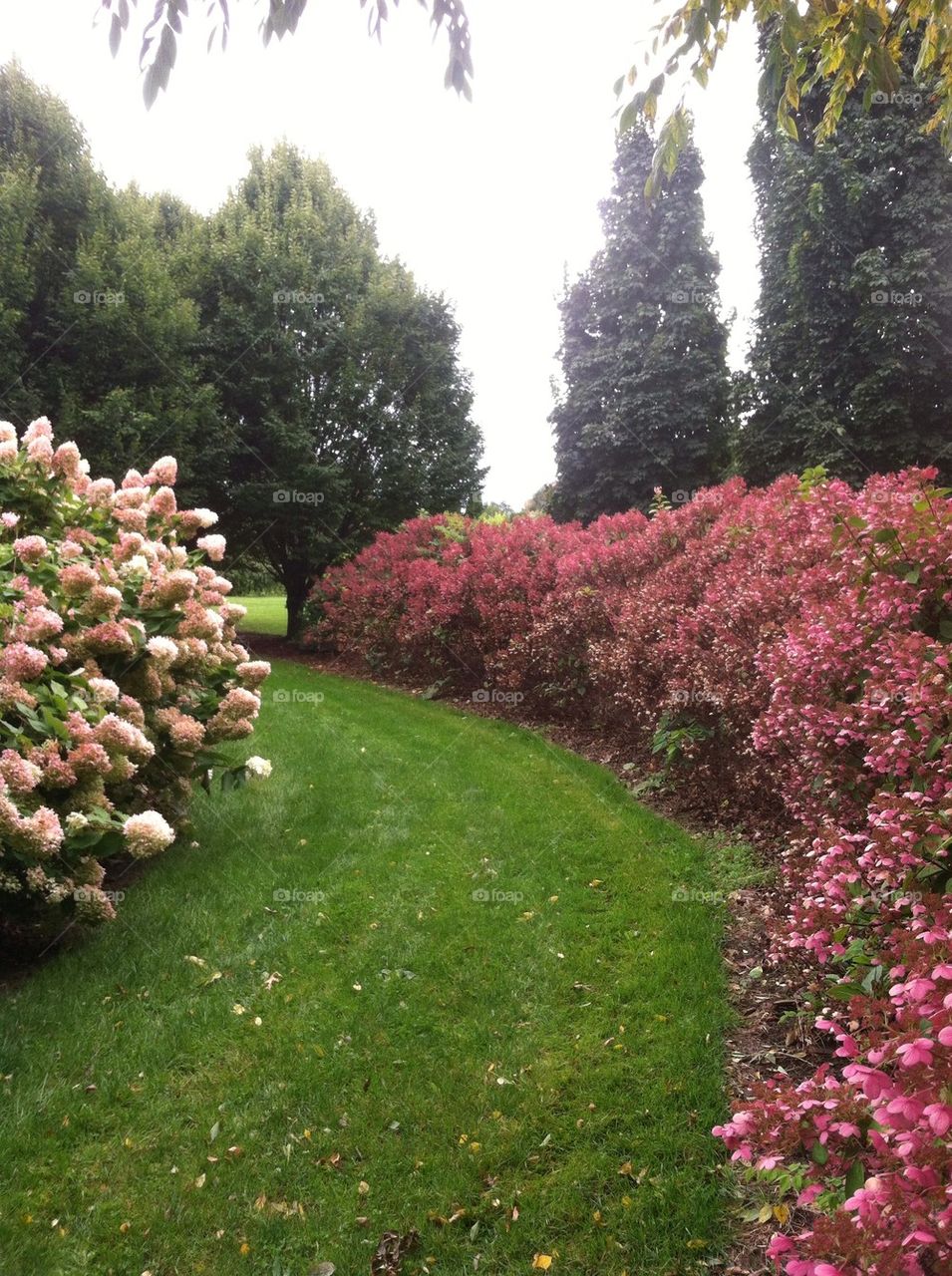 Garden Path