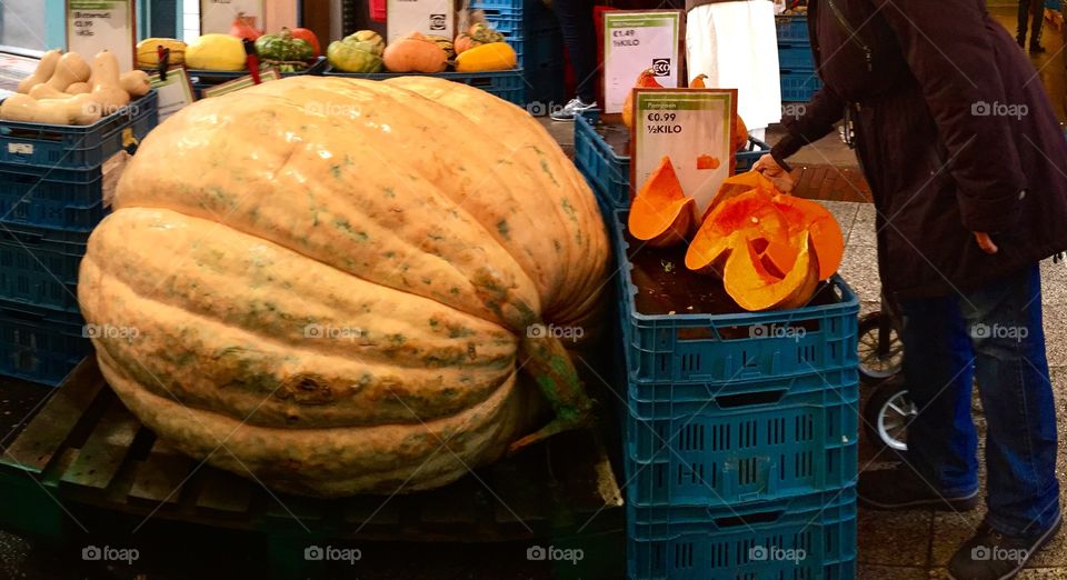 Jabba the pumpkin