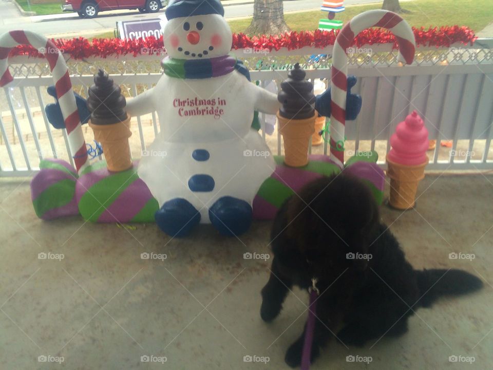 Child, People, Festival, Fun, Strange