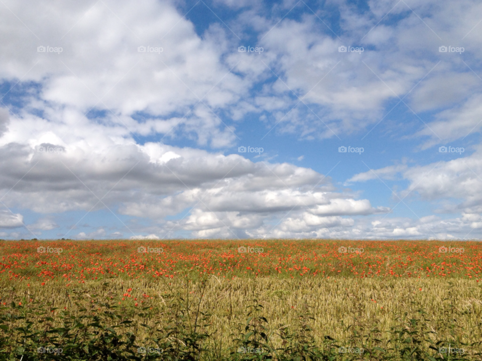 dorset field clouds blue sky by Jsnook