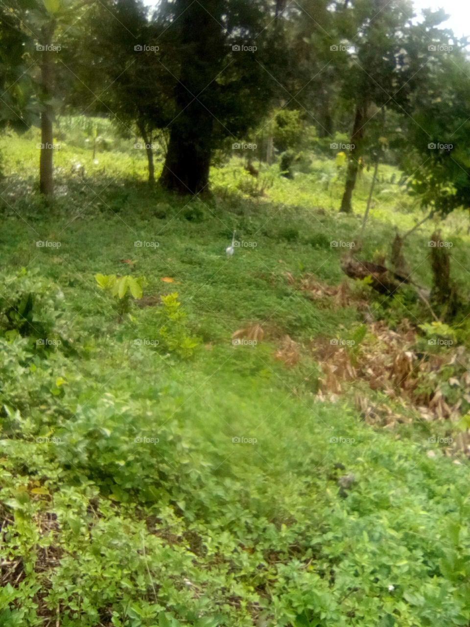 when you are on way never forget to all way take out picture so you will all ways have a member to remember