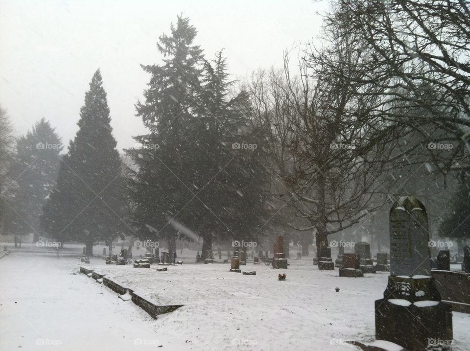 Cemetery in snow