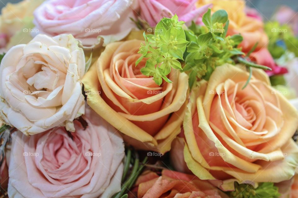 Close-up of wedding roses bouquet