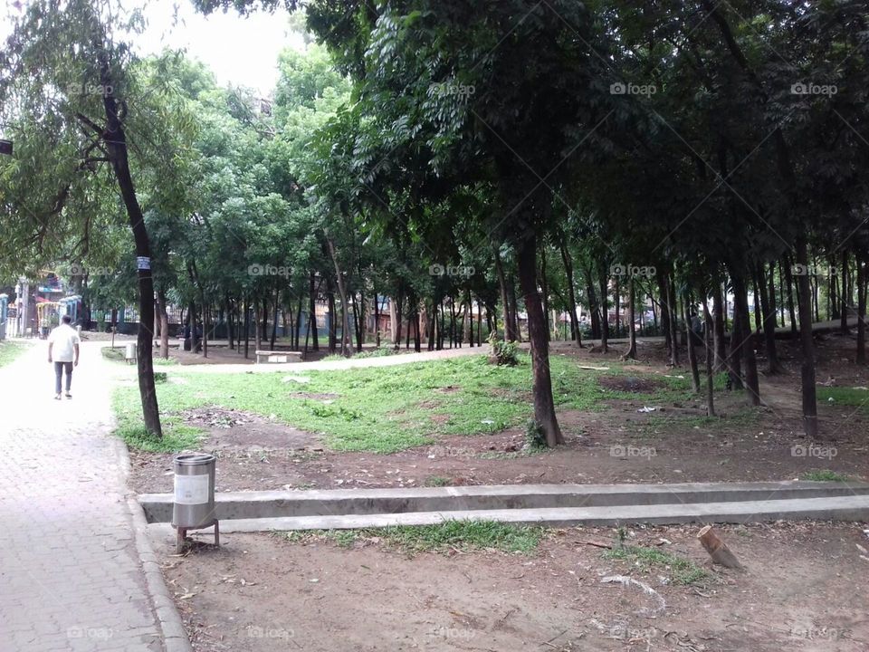 Park