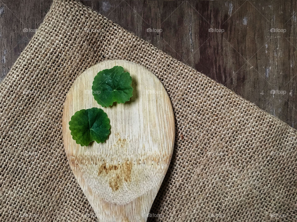 Gotu kola leaves on the bamboo spoon