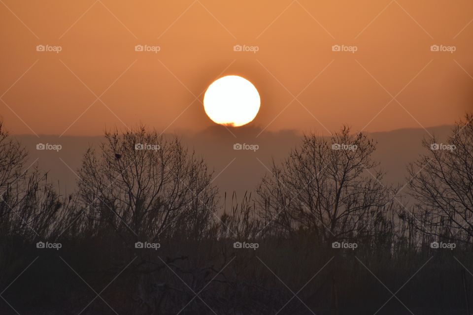 View of the sky during sunset