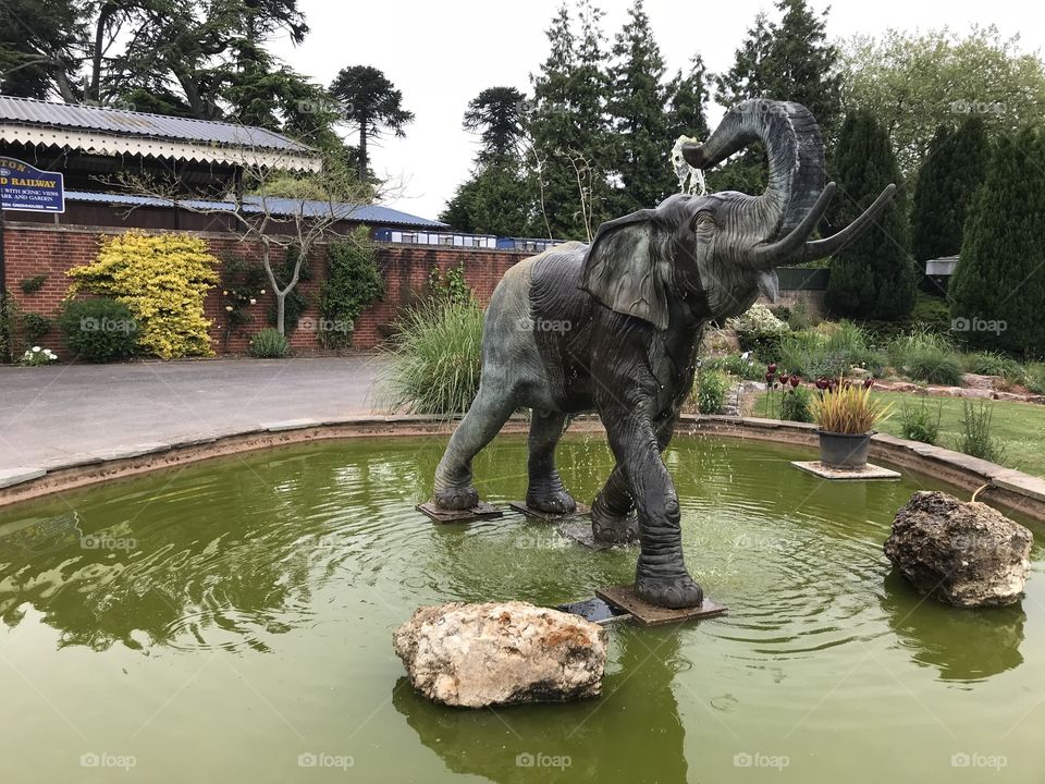 The water fountain supplied by this impressive elephant, that is a central feature of this garden.