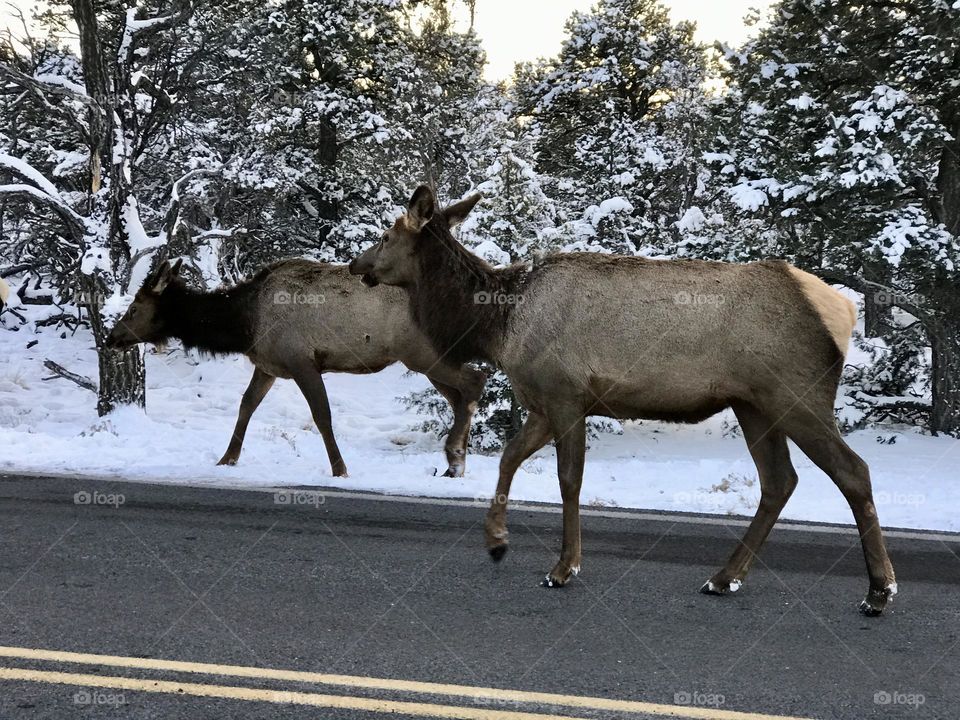 On a road