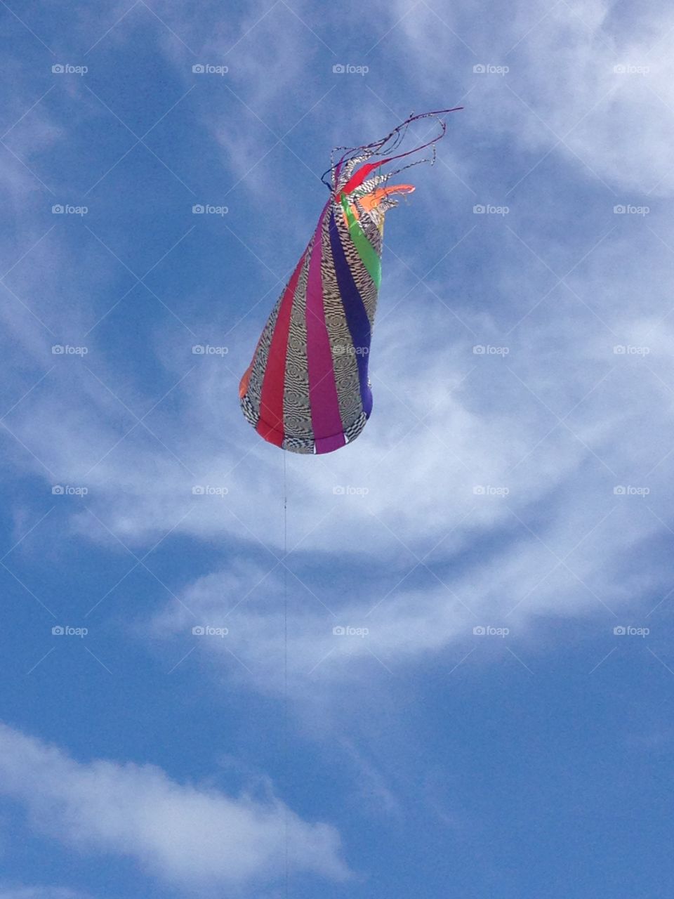 Huge  kite 
