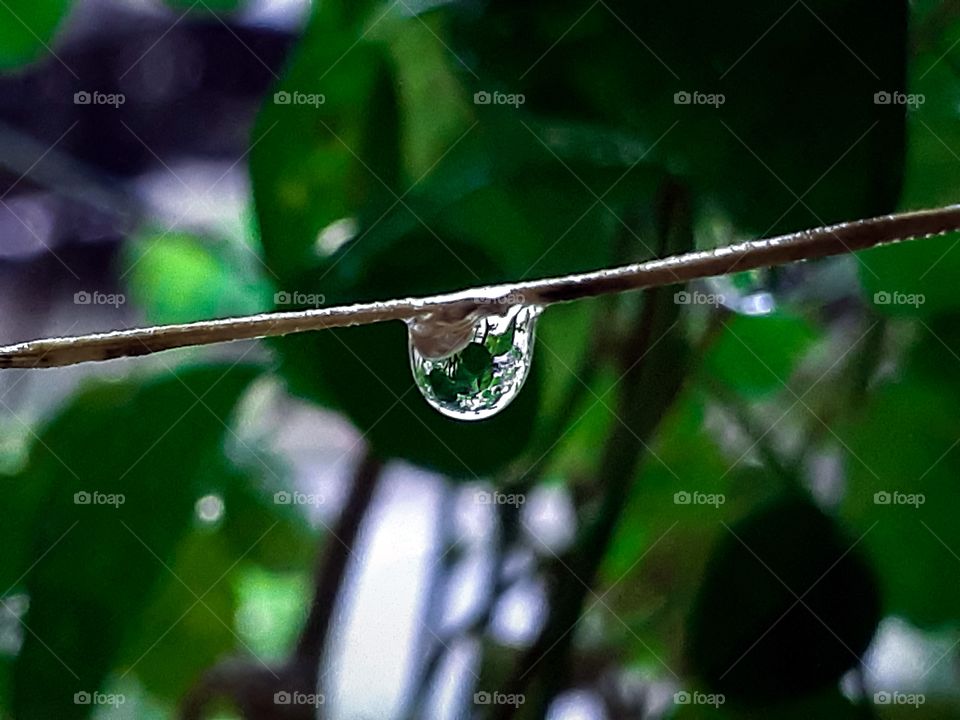 Water Droplet
