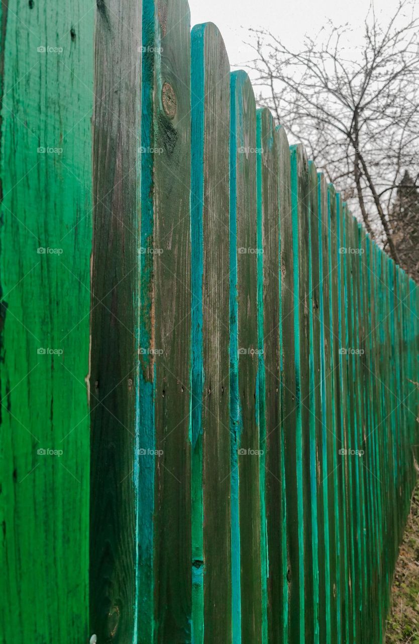 Unusual bright green wooden fence