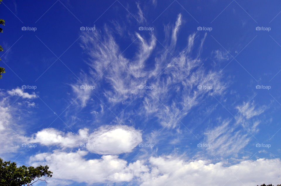 Clouds Cumulus and Cirrus