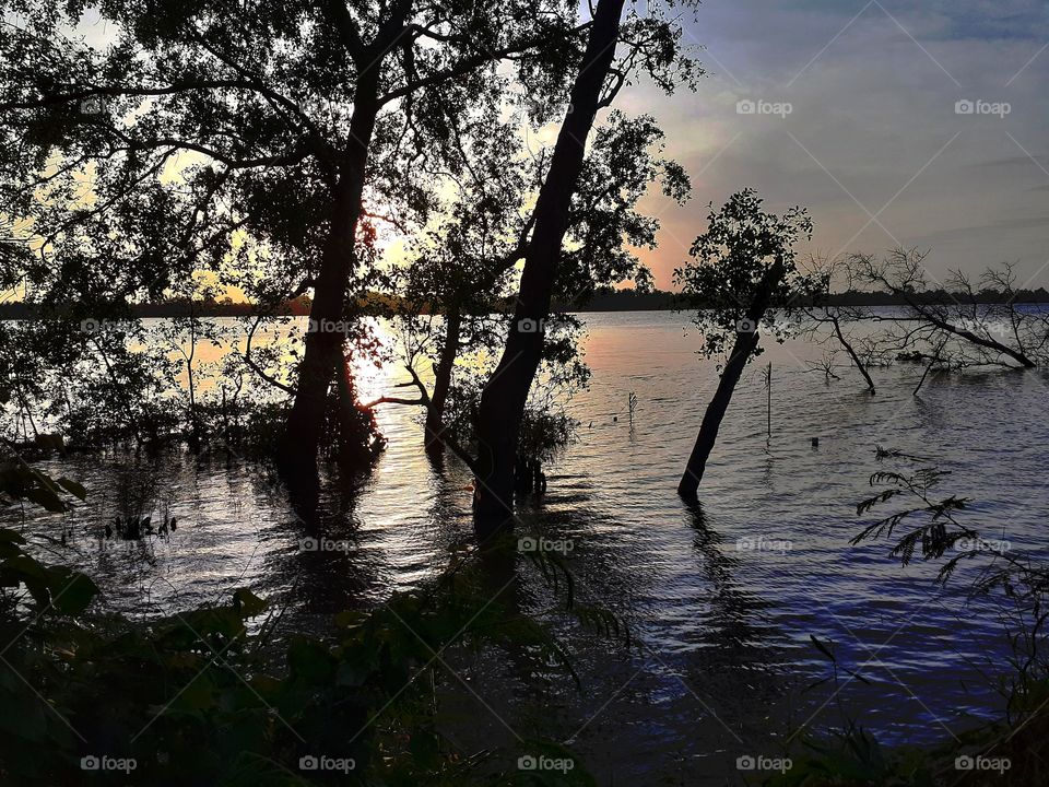 River_ nature_ sunset